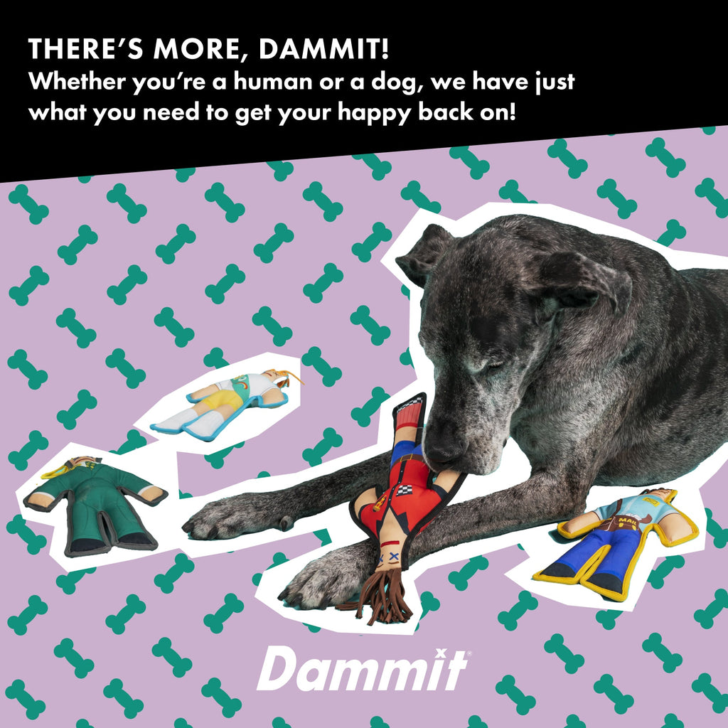 Mailman Squeaky Chew Toy