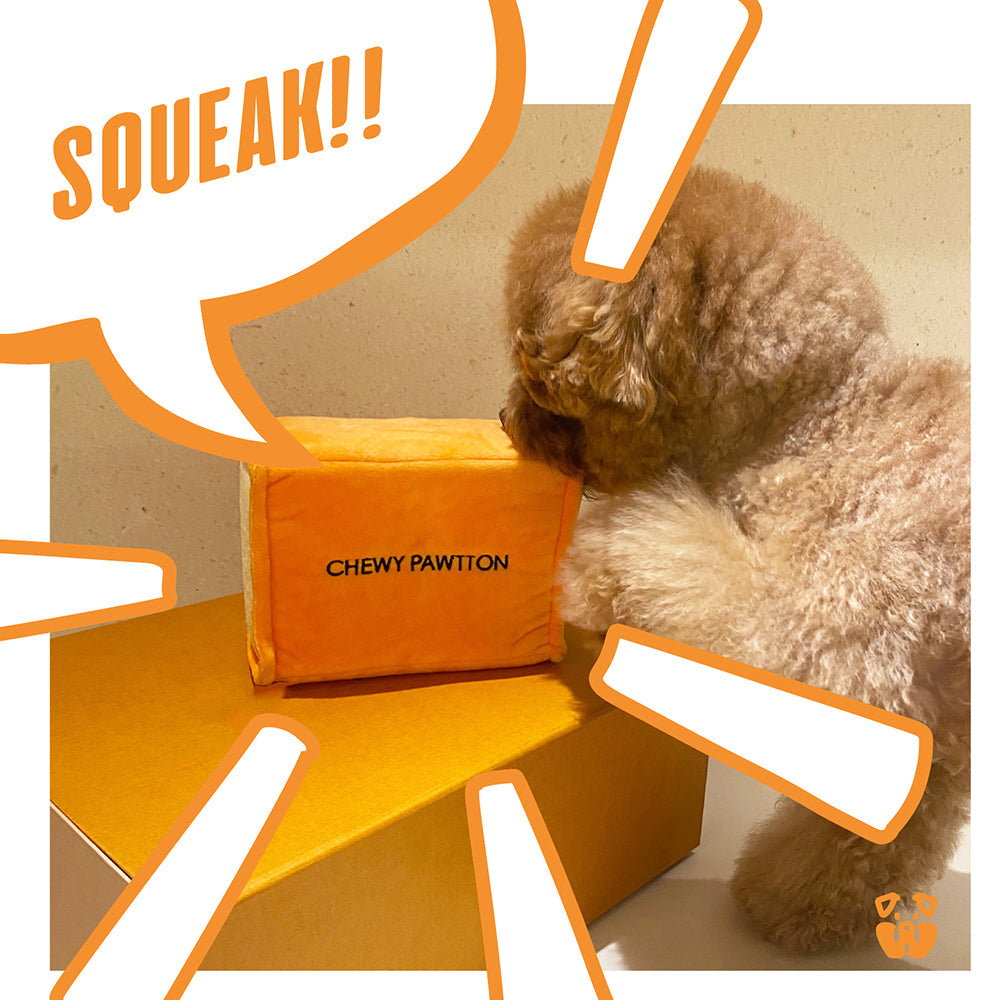 CHEWY PAWTTON PLUSH DOG TOY