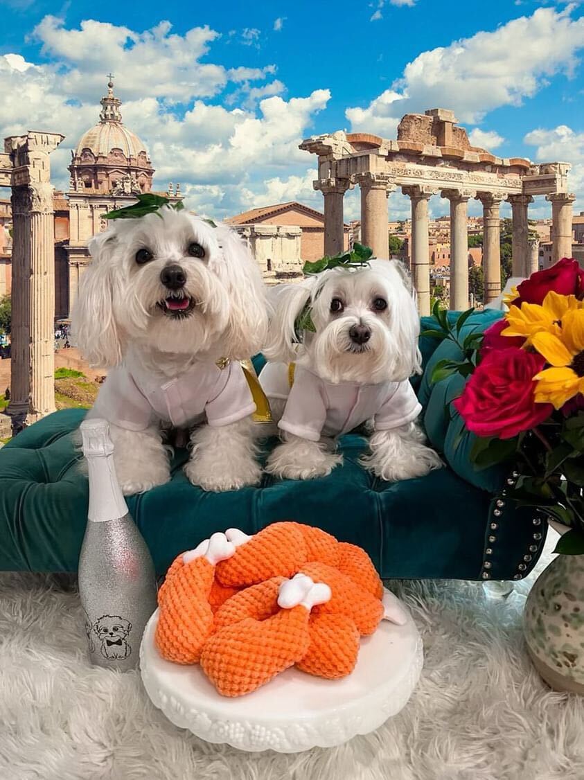 PAWTY FRIED CHICKEN INTERACTIVE SNUFFLE MAT DOG TOY