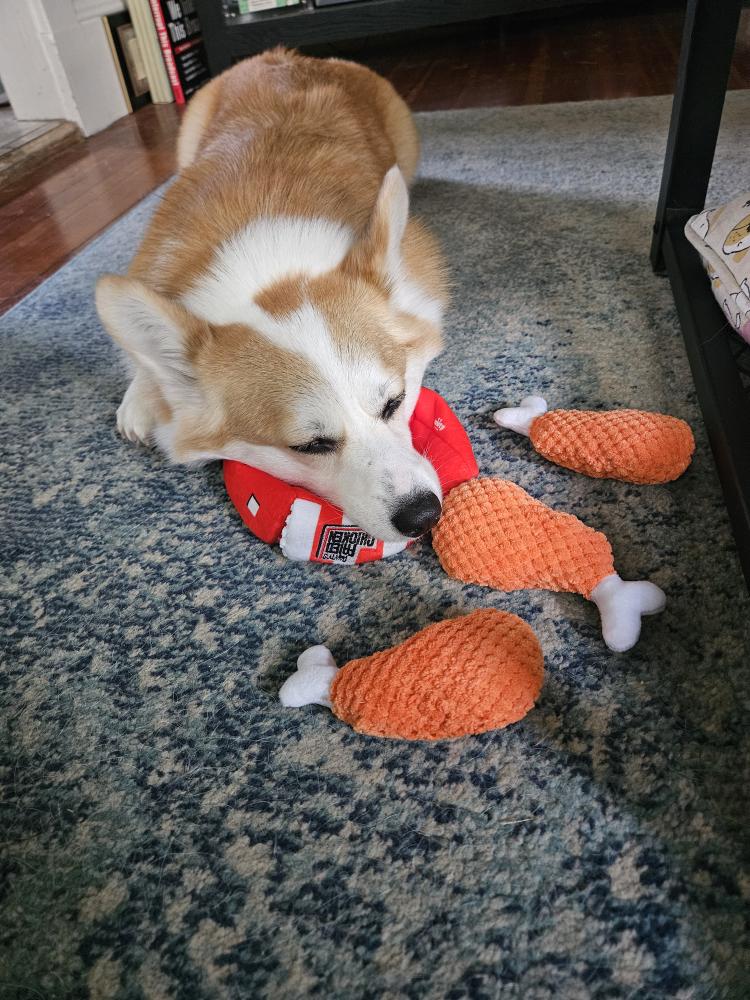 PAWTY FRIED CHICKEN INTERACTIVE SNUFFLE MAT DOG TOY