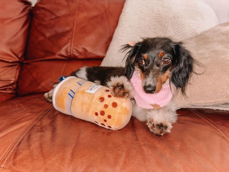 PAWTY BOBA PLUSH DOG TOY