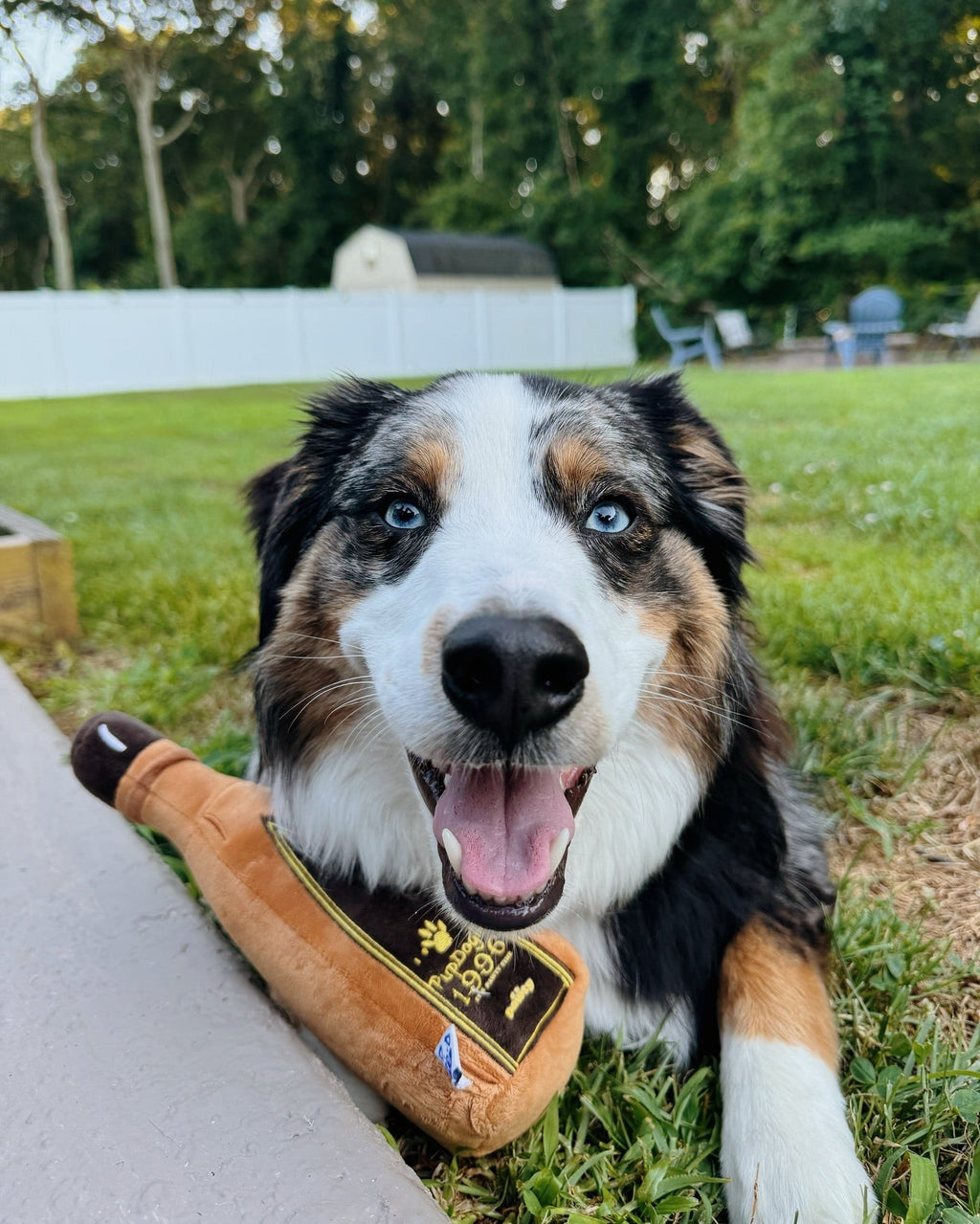 1996 TEQUILA PLUSH DOG TOY