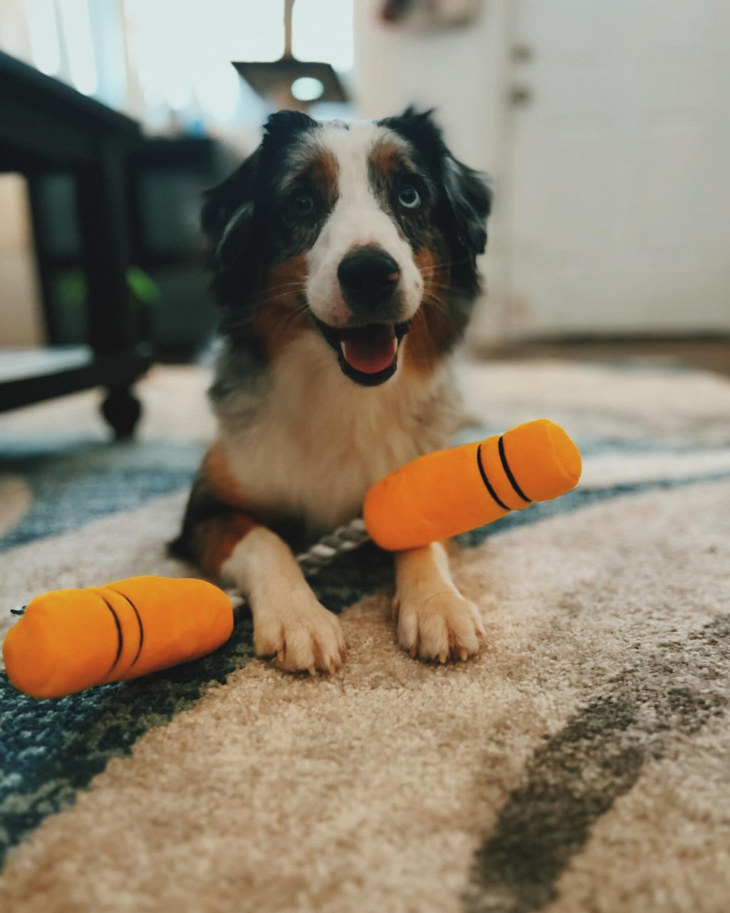 NUNCHUCKS TUG ROPE INTERACTIVE TOY